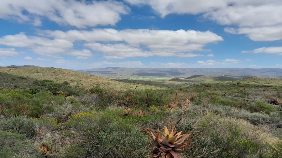 0 Bedroom Property for Sale in Robertson Rural Western Cape